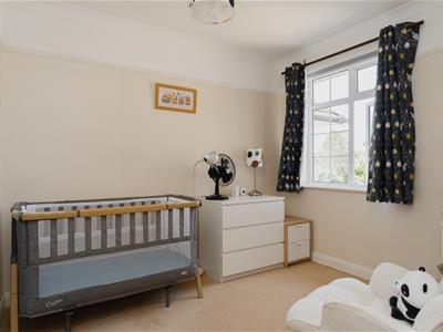 Picture 15